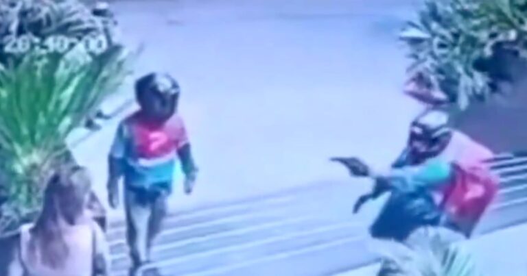 Detuvieron a tres personas vinculadas al ataque a la expareja de Fernando Cerimedo