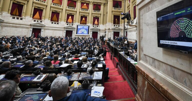 El presidente del cuerpo, Martín Menem, giró la iniciativa a tres comisiones legislativas, Discapacidad