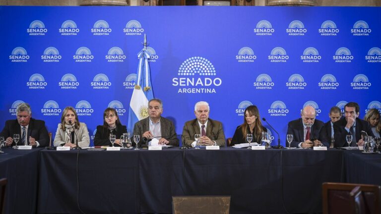 El Senado dictaminó cambios en Zona Fría mientras el Gobierno negocia beneficios para el norte