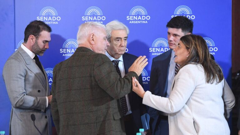 El Senado reordena su agenda: biocombustibles, Inocencia Fiscal II y competencias penales