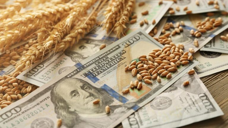 El agro prevé una cosecha de 157,9 millones de toneladas y más exportaciones para la campaña 2026/27