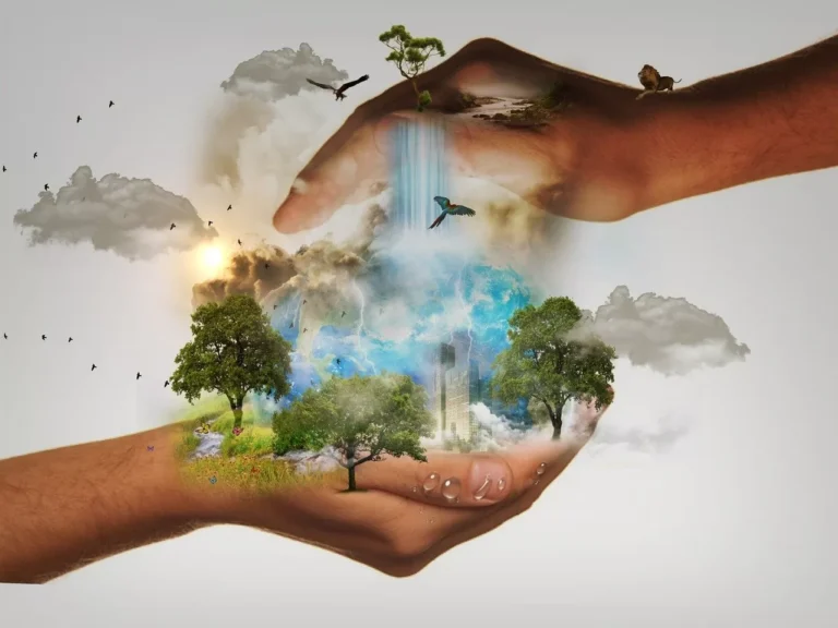 Dictamen fiscal impulsa la puesta en marcha del Fondo de Compensación Ambiental