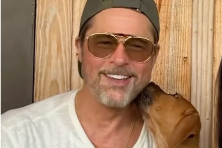 Brad Pitt destacó el vínculo con sus perros durante la promoción de El corazón de la bestia