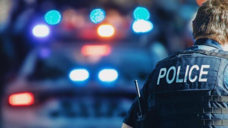 Detuvieron a una pareja de 76 años acusada de matar a tiros a su yerno en California