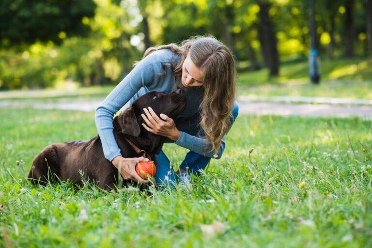 La conducta cotidiana que puede revelar cuánto apego siente un perro por su humano