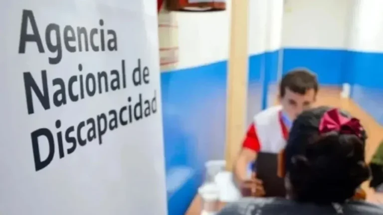 El PRO cuestionó a La Libertad Avanza por los cambios en discapacidad: "El Gobierno se equivocó"