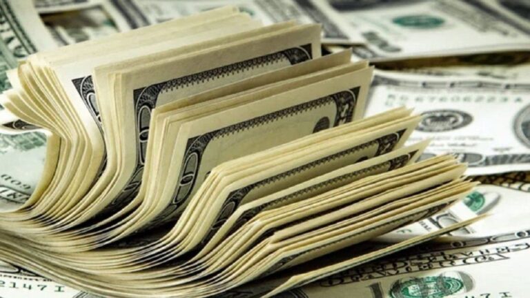 El dólar blue permaneció en $1.560 y la brecha con el oficial bajó al 2,7%