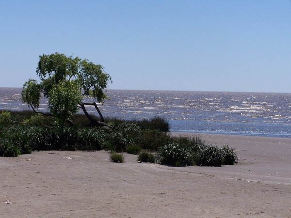 Buscan testigos del choque en Punta Lara en el que murió un bebé de 10 días